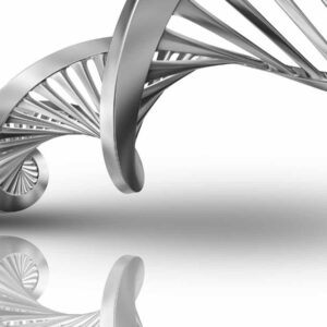 Legal Logistics of DNA Testing in Mexico | CAREM Experts in International Surrogacy in Mexico